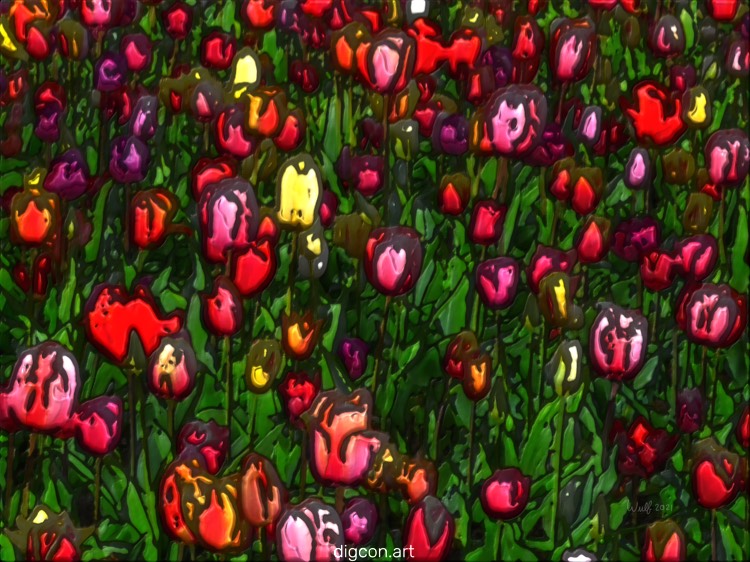 A Field Of Flowers