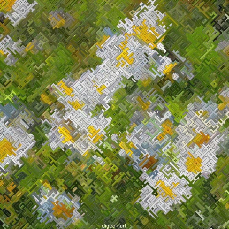 Daisies