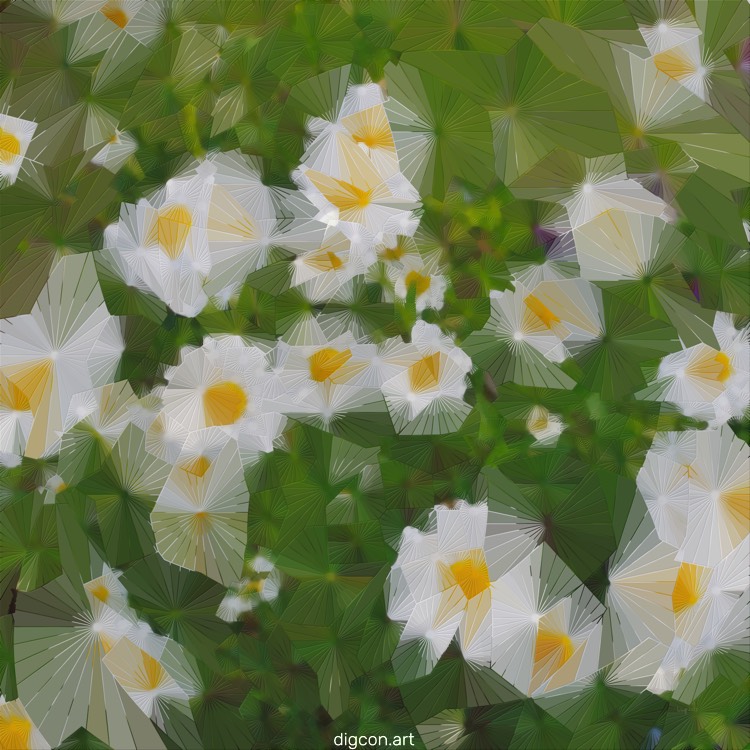 Daisy Daisy