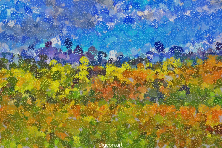 Fields And Mountains
