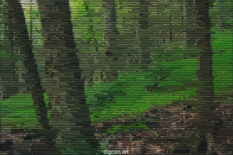 Forest Scene