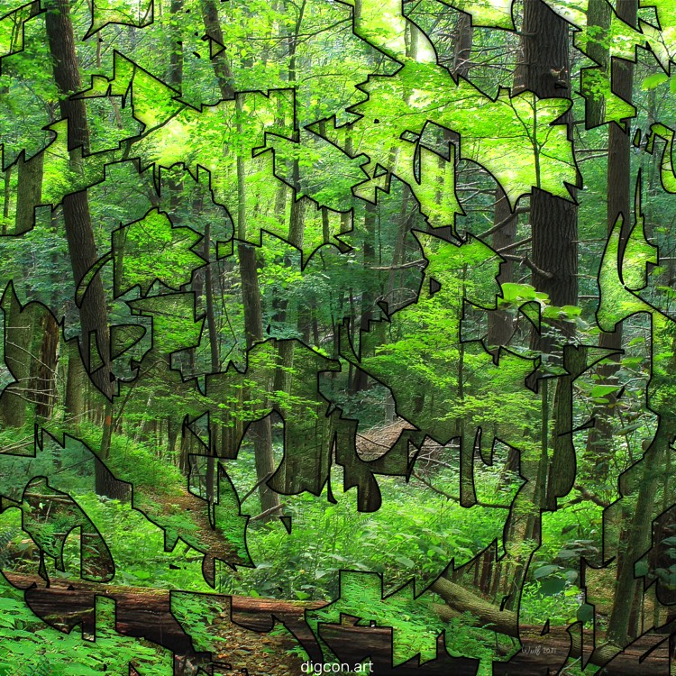 Fractured Forest