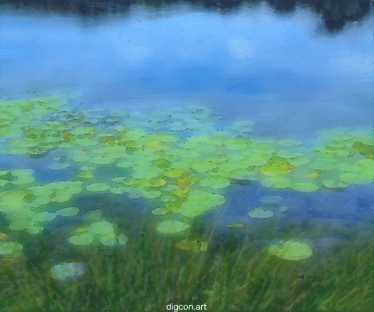 Lilies In Pond