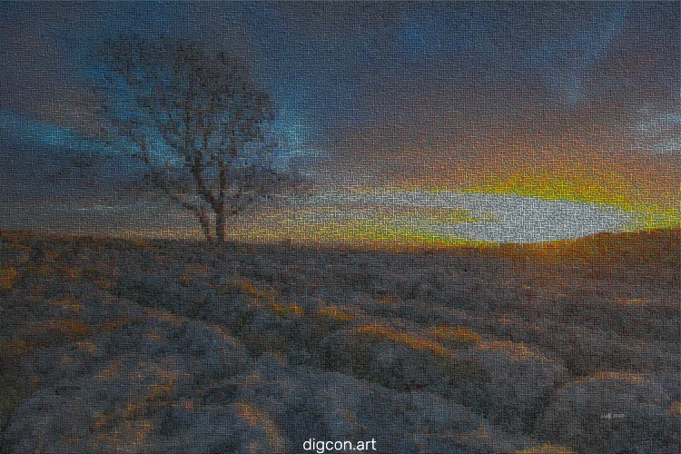 Lone Tree