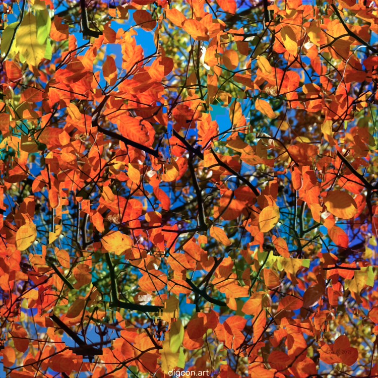 Orange Leaves