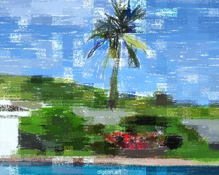 Palm And Pool