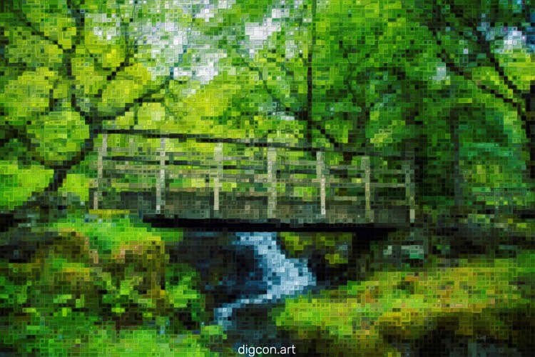 Small Bridge In The Woods