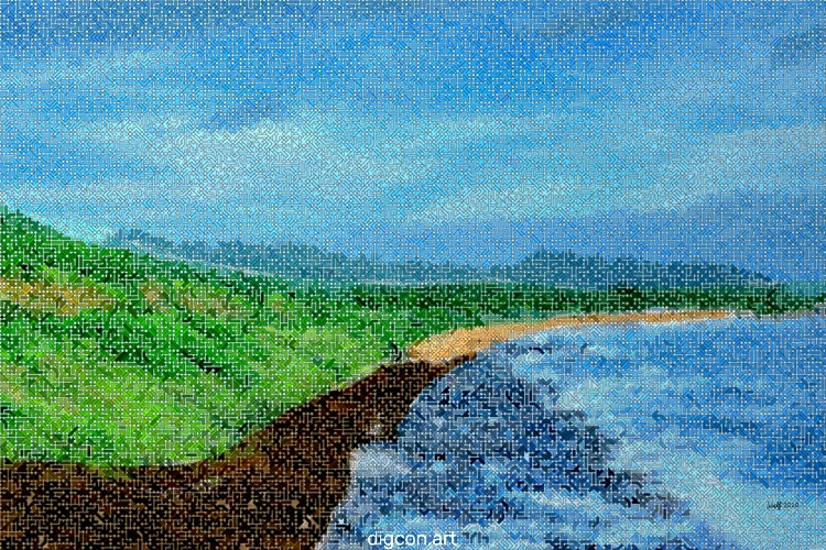 The Coast