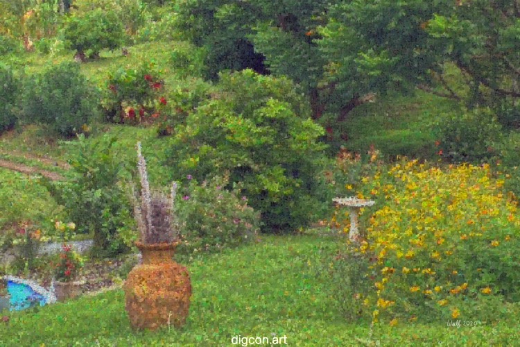 The Garden
