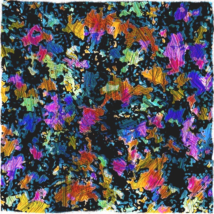 The Illusion Of Color