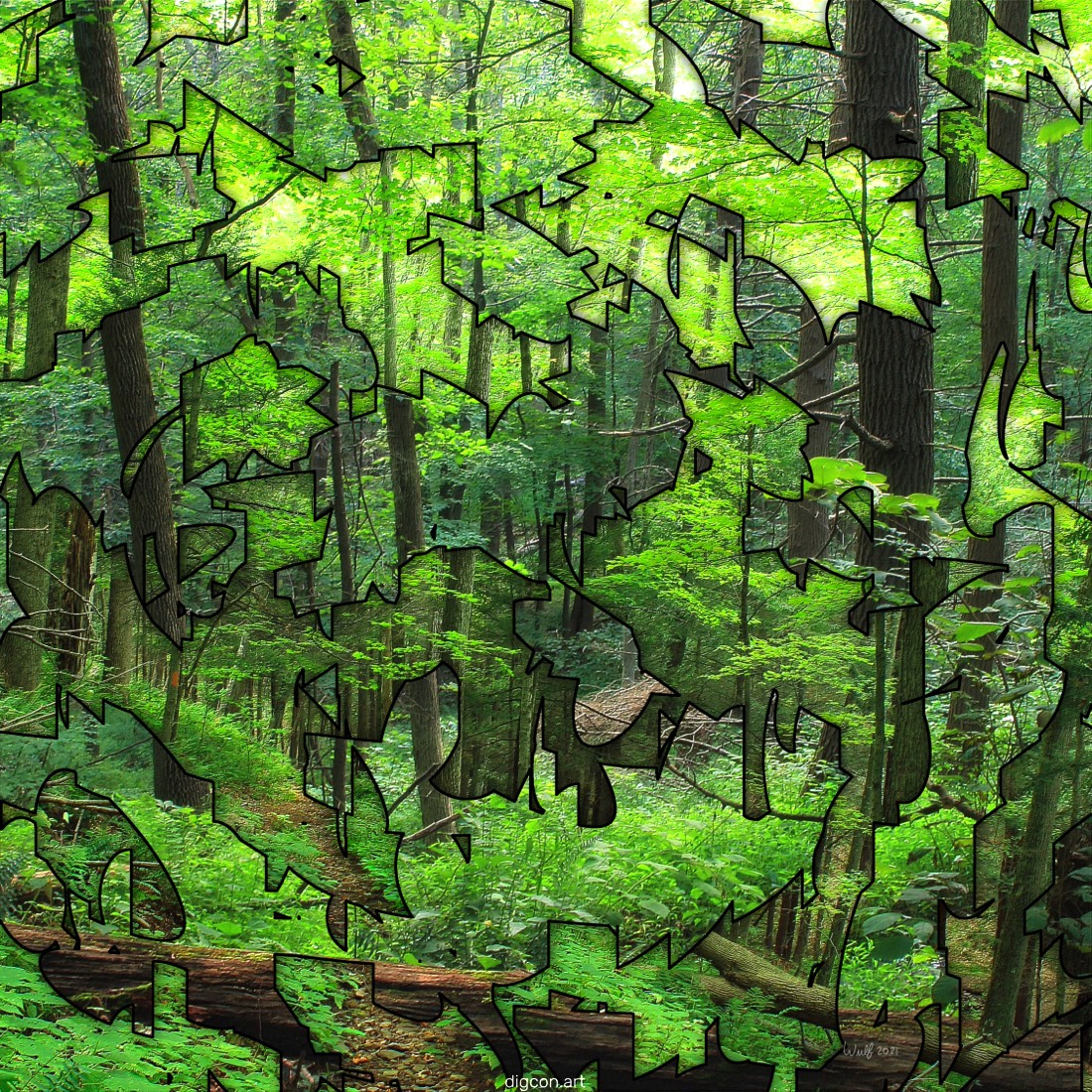 Artwork named: Fractured Forest